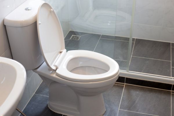 Cost of Toilet Replacement in Auburn